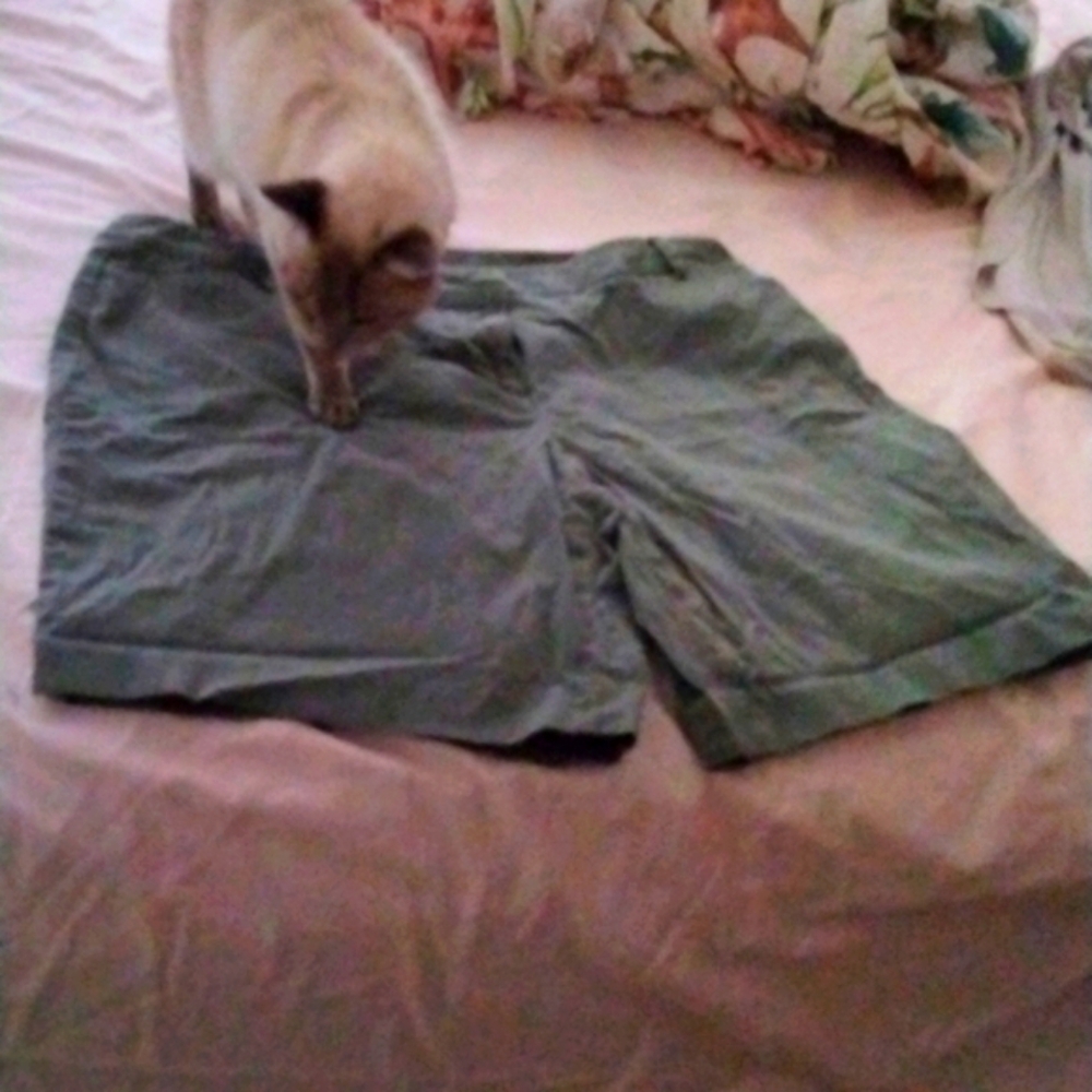 TALBOT shorts